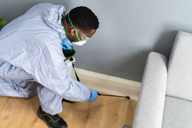 Best Fumigation Services  in Torrington, WY